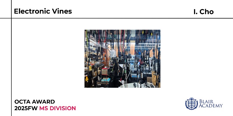 2025FW_HOG_OCTA_MS_I_Cho_Electronic_Vines.jpg